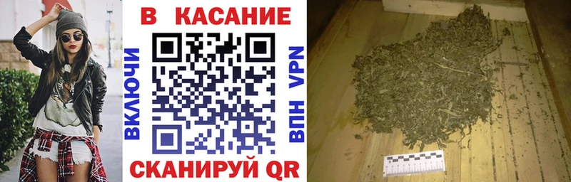 МЕФ Котельнич