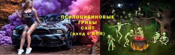 spice Аркадак