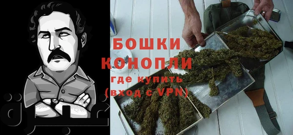 spice Аркадак